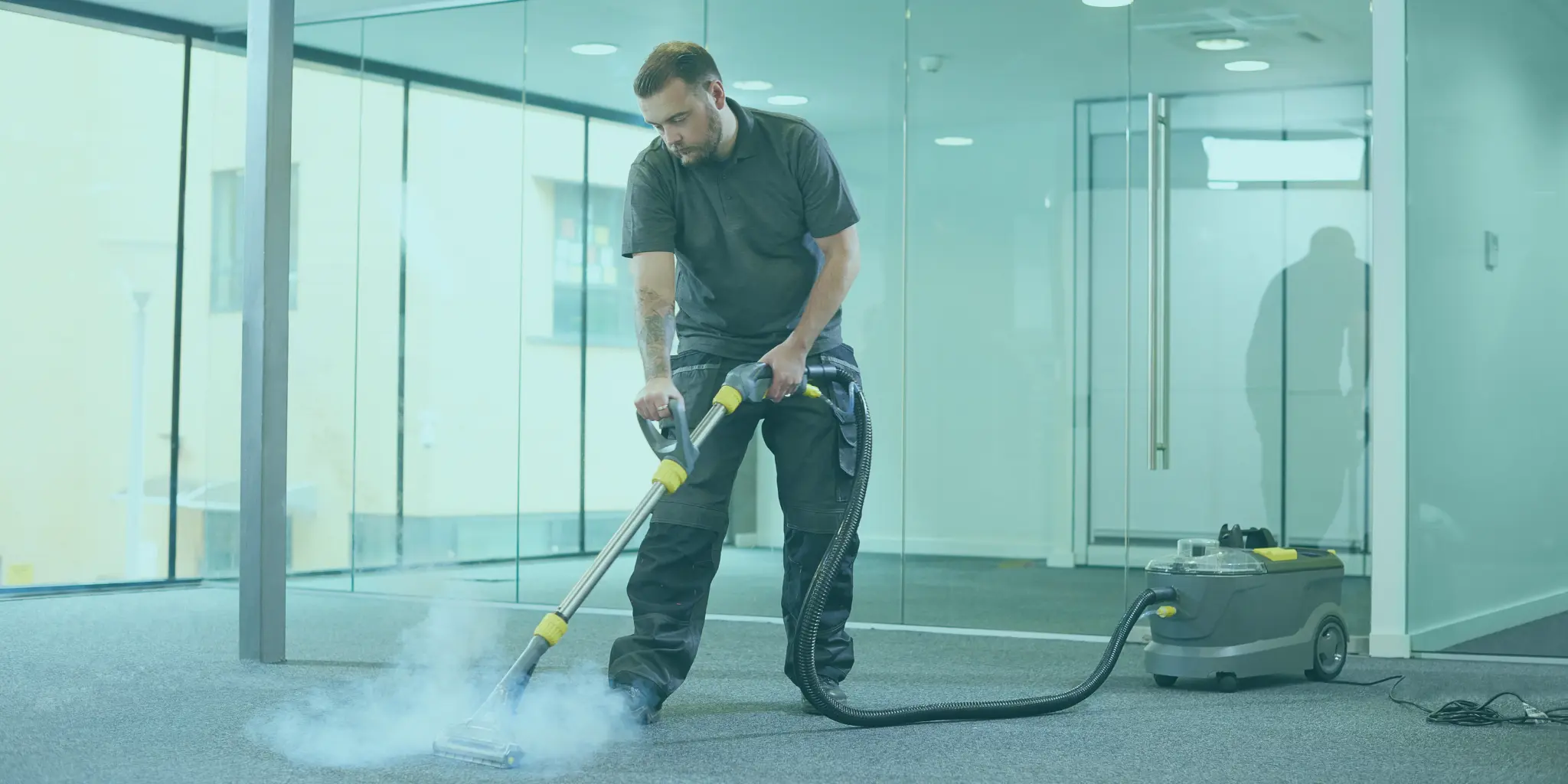 NDIS Carpet Cleaning in Brighton